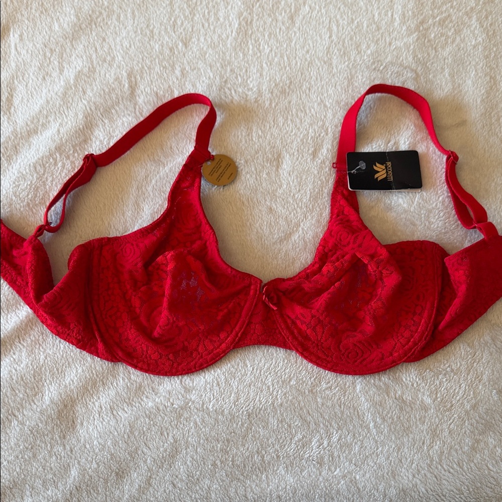 Wacoal Halo lace underwire bra